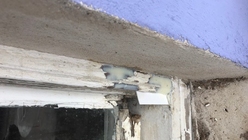 © Harrison Decorators