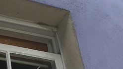 © Harrison Decorators