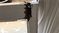 © Sliding Sash Solutions