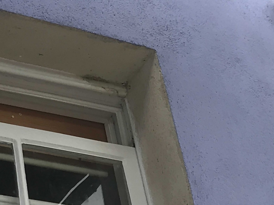 © Harrison Decorators